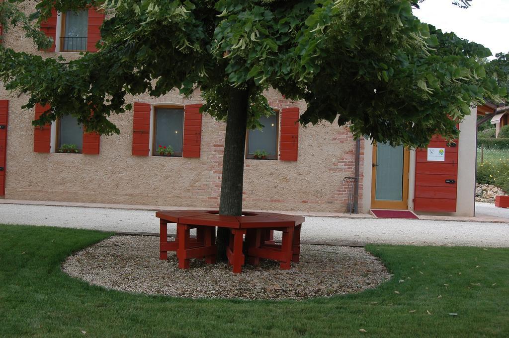 Agriturismo La Paterna Giavera del Montello Extérieur photo